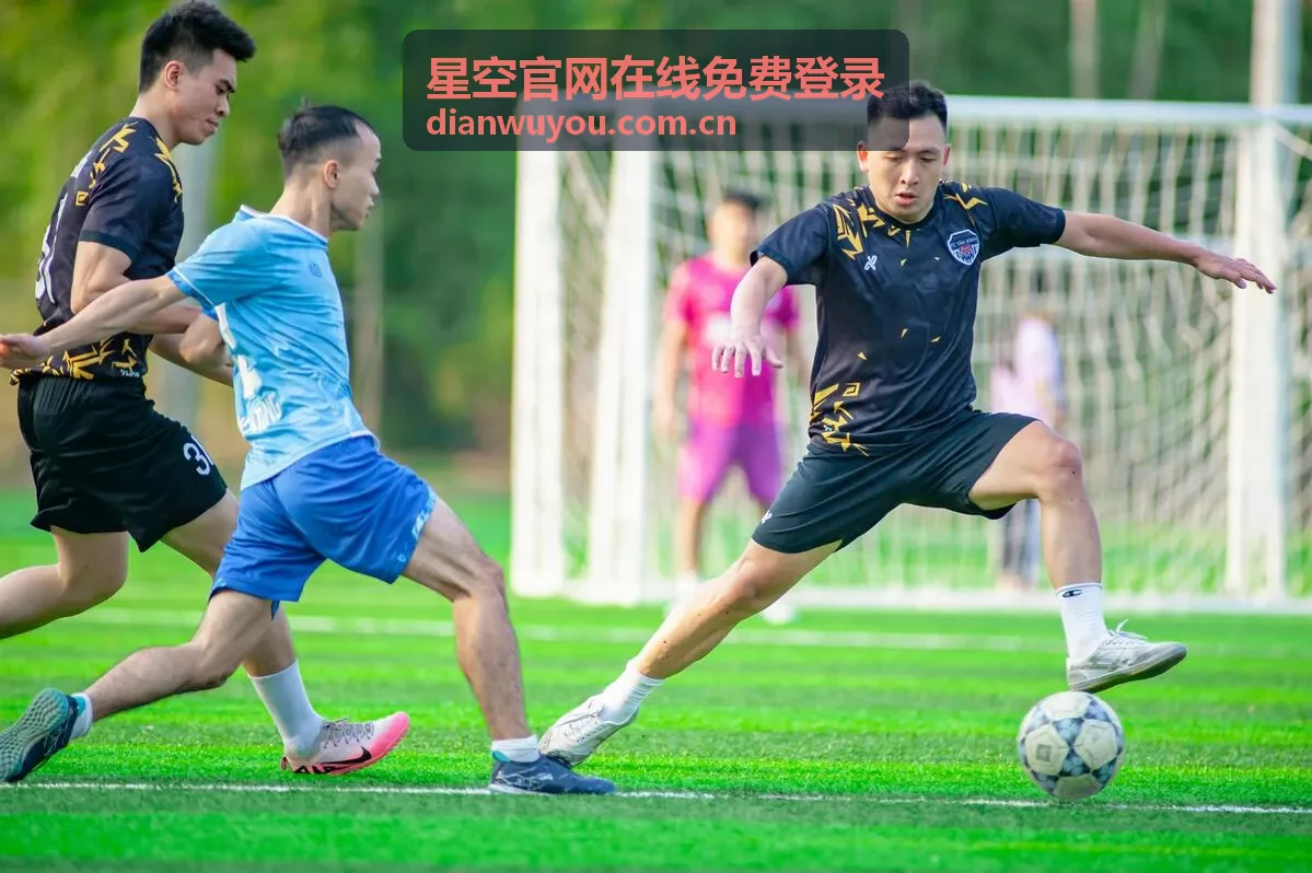 星空官网在线免费登录多端安全防护界面